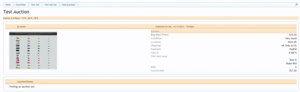 viewauction.webp