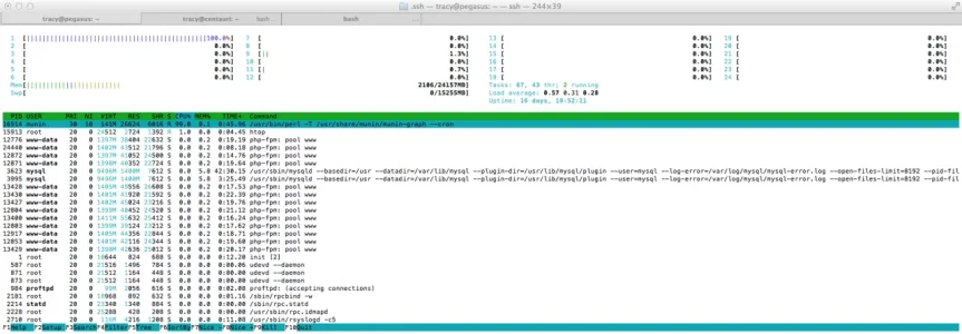 screenshot1.webp