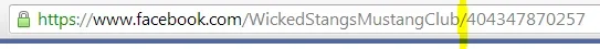 fb4.webp