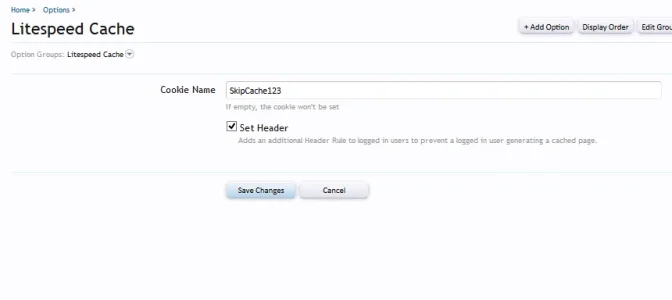 option.webp