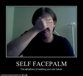 self_facepalm.webp