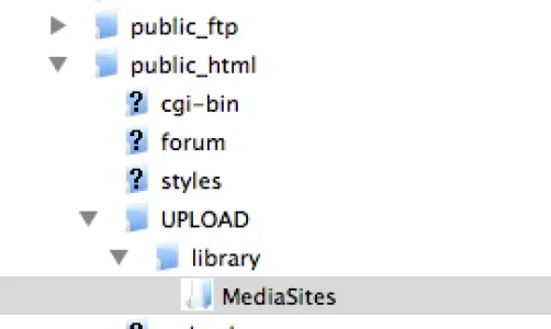 screen shot.webp
