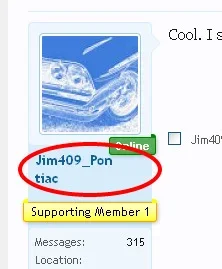 bob.webp