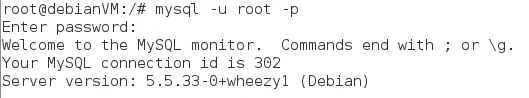 mysqlcli.webp