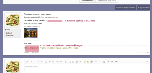 bug2.webp