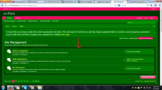 Top Border.webp