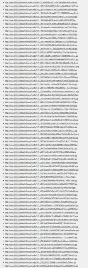 capture.webp