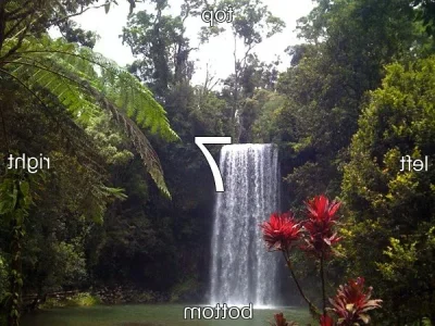Landscape_7.webp