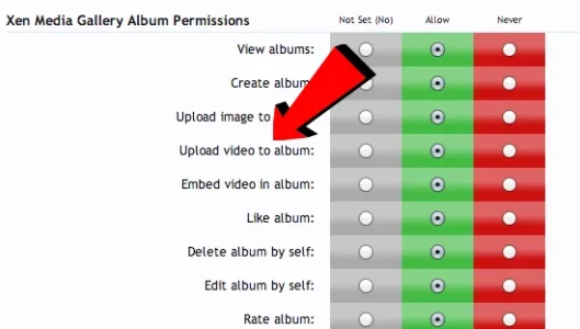 screenshot.webp