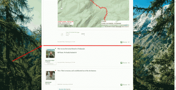 Image 6.gif