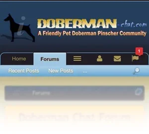 de.webp