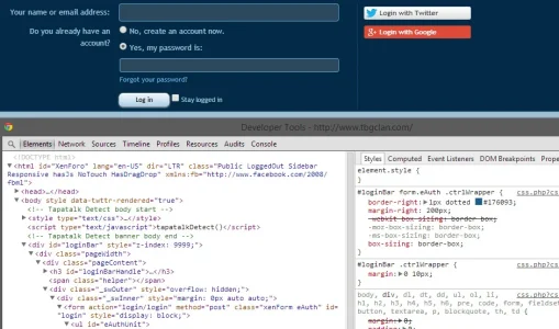 bug2.webp