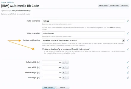 html5mediapreload.webp