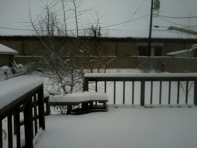Snow 3.webp