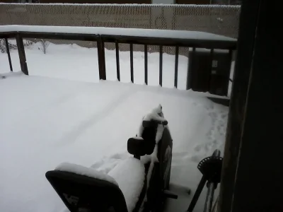 Snow 4.webp