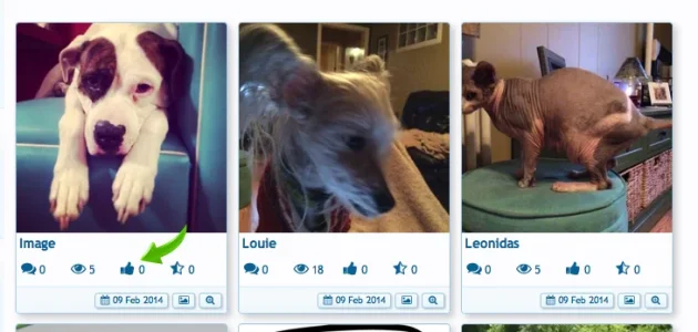 Screen Shot 2014-02-10 at 5.12.56 AM.webp