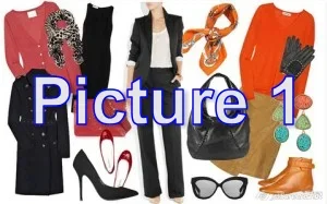 pic1.webp