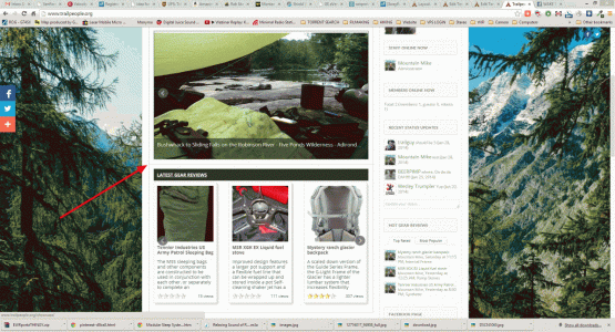 Image 2.gif