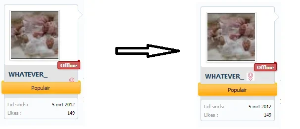 gender.webp