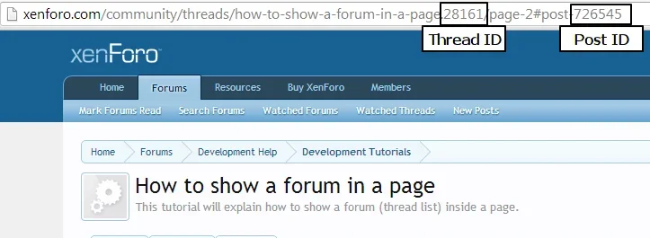 ids.webp