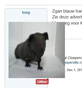 out.webp
