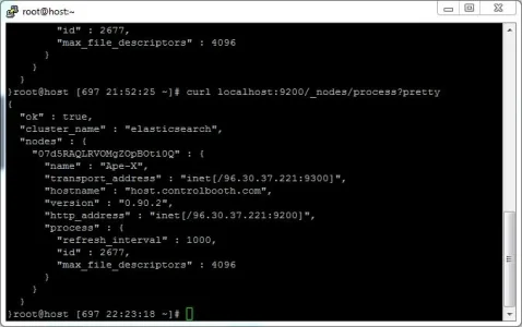 elasticsearch_curl_results.webp