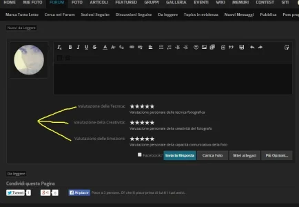 custom2.webp