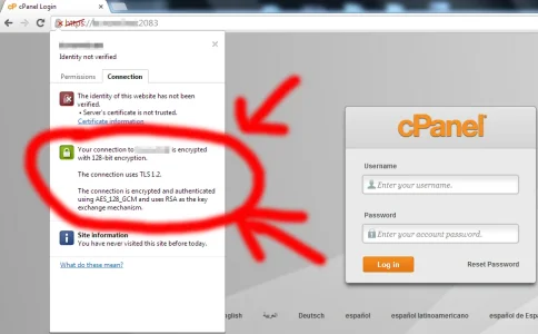 ssl.webp