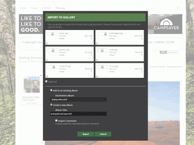 Image 4.gif