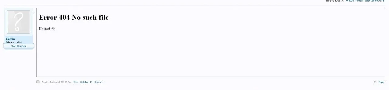 1.3_error.webp