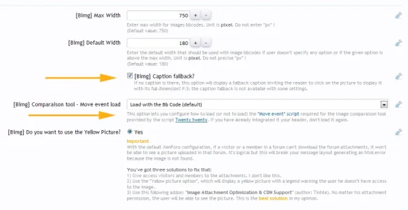bimg6.webp