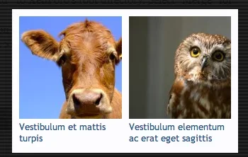 Skærmbillede 2014-03-17 kl. 08.13.33.webp