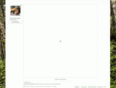 Image 31.gif