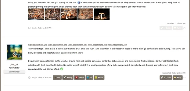 Screen Shot 2014-03-19 at 3.51.14 AM.webp
