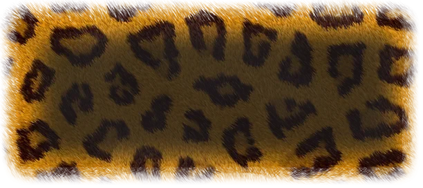 leopard.filter1.webp