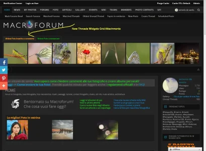 new_threads.webp