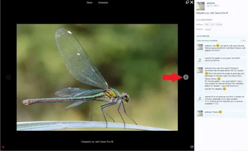 Capture.webp
