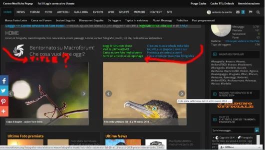 title.webp