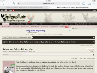 image.webp