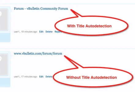 AutoLinkExample.webp