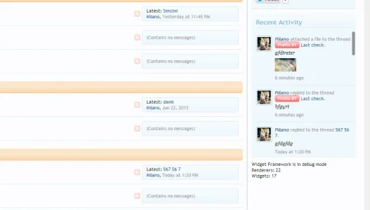 Recent Activity Widget.webp