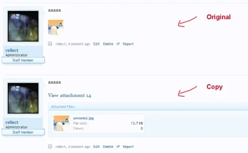 copy.webp