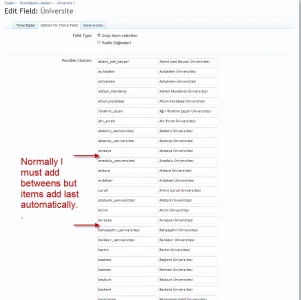custom field.webp
