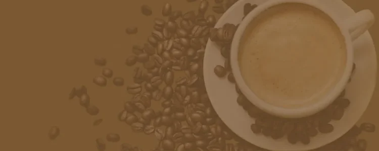 header-background-1000-bg.webp