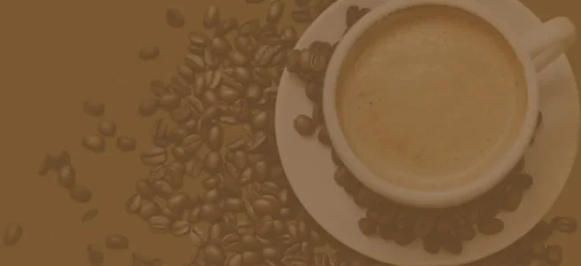 header-background-1000-bg-crop.webp