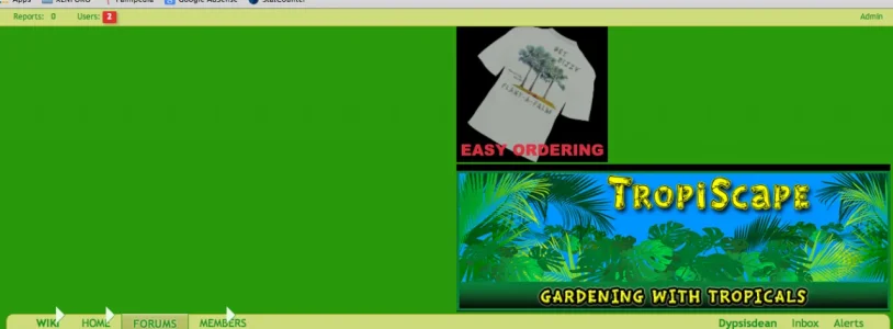 ad header.webp