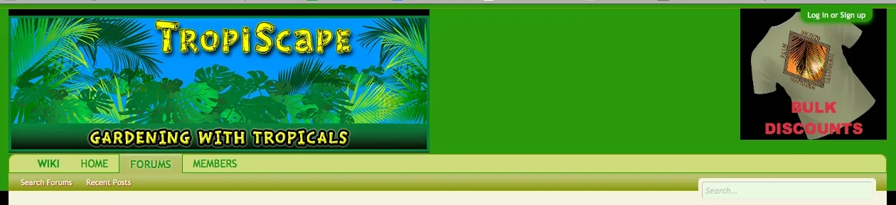 ad header 101.webp