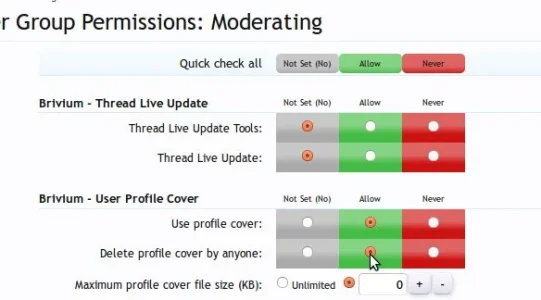 brivcoverperms.webp