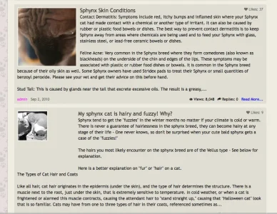 Screen Shot 2014-04-26 at 9.28.23 AM.webp