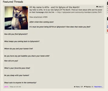 Screen Shot 2014-05-04 at 2.42.19 PM.webp